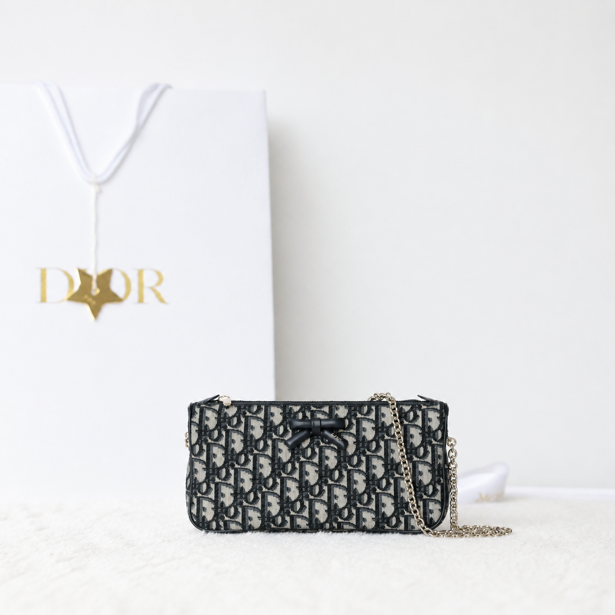Dior pouch
